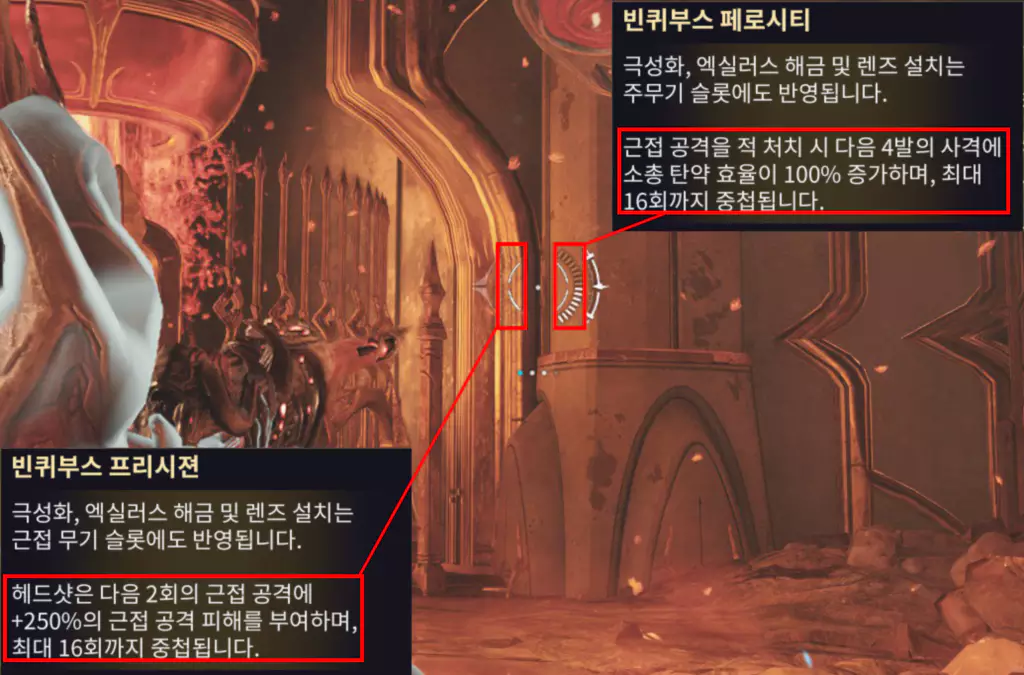 빈퀴부스의 고유 특성