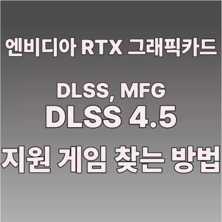 NVIDIA DLSS 4.5 사용 방법, 적용 방법, 적용 유무 확인 방법