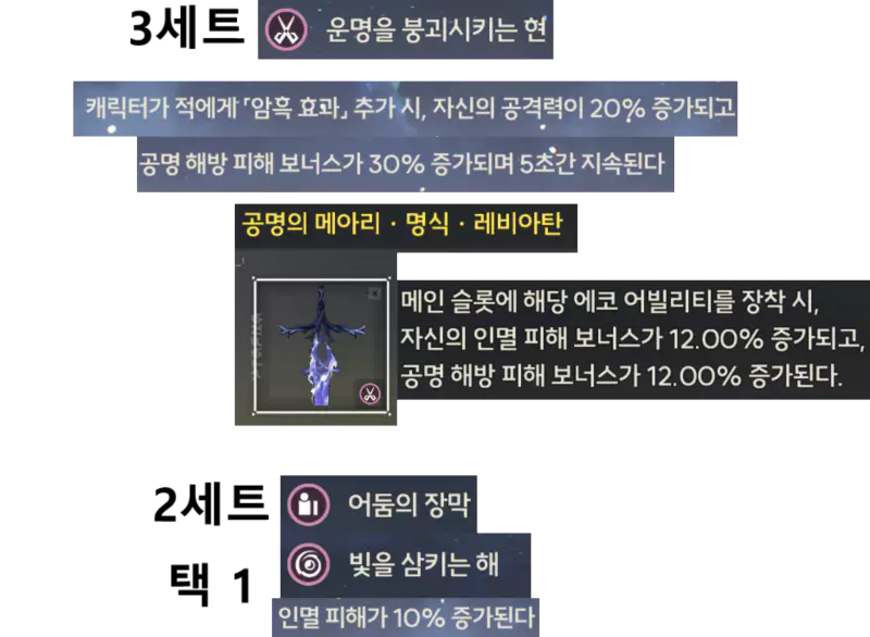 치사 에코 세트 추천