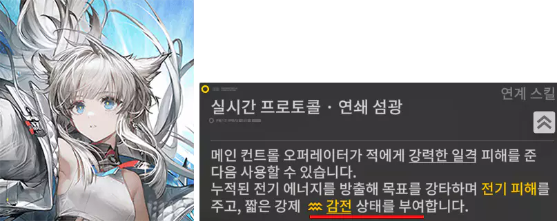 5성 감전 부여 캐릭터 펠리카