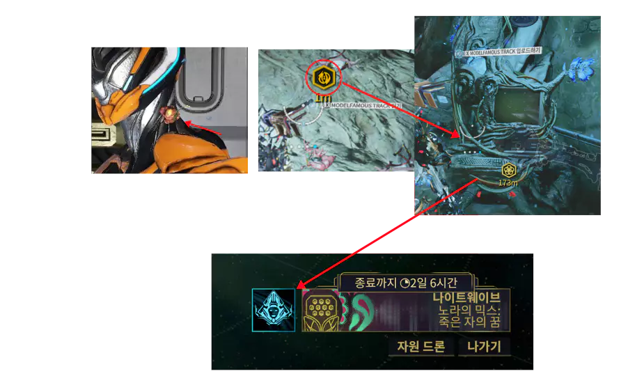 테크노사이트 코다 낭종