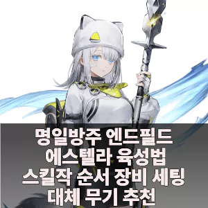 엔드필드 에스텔라 육성 가이드 운용 무기 장비 세팅 추천